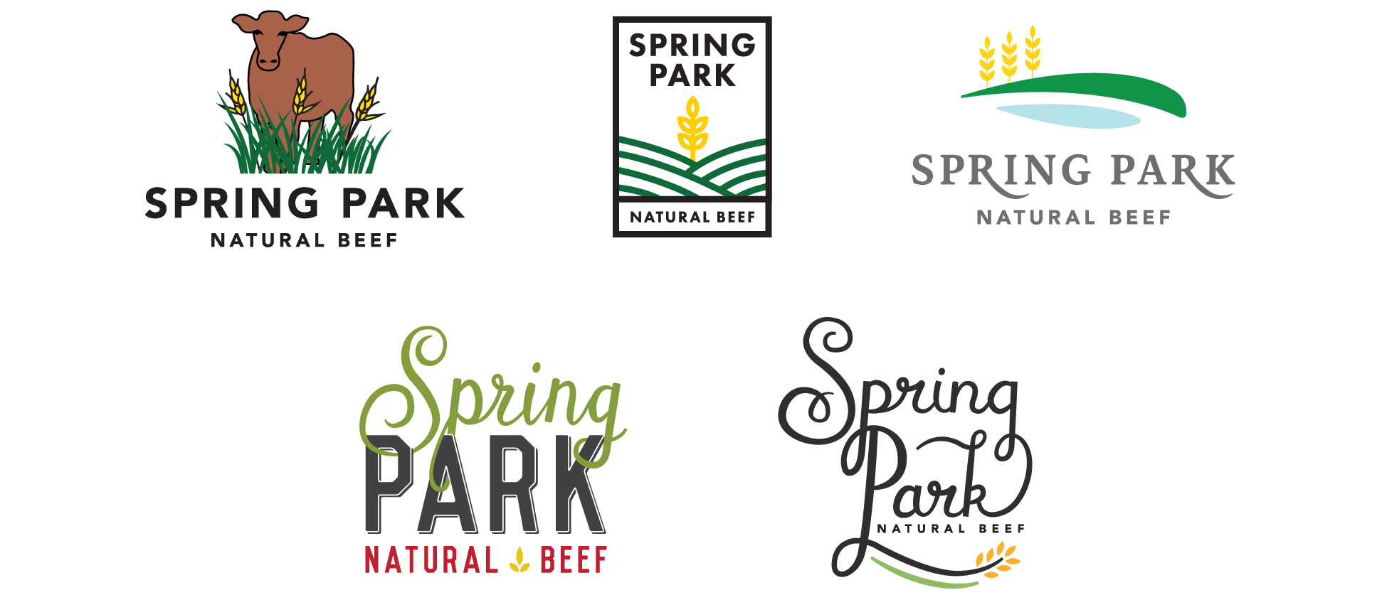 Springpark_finals